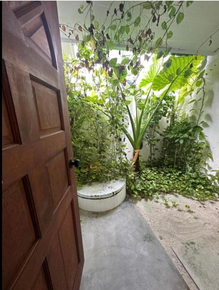 Aqua Oasis Thoddoo Exterior foto